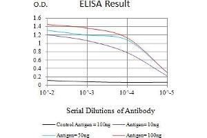 Black line: Control Antigen (100 ng),Purple line: Antigen (10 ng), Blue line: Antigen (50 ng), Red line:Antigen (100 ng) (MAP3K14 抗体  (AA 769-947))