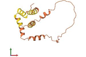 AlphaFold protein structure predicition of Human Recombinant LINC00173 Protein, UniprotID Q6ZV60