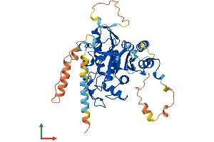 Protein Structure (PS) image for Autophagy related 4C Cysteine Peptidase (ATG4C) (AA 1-458) protein (His tag) (ABIN7552465)