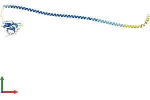 Protein Structure (PS) image for Calcium Binding and Coiled-Coil Domain 2 (CALCOCO2) (AA 1-331) protein (His tag) (ABIN7561870)