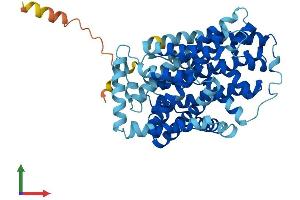Protein Structure (PS) image for Solute Carrier Family 7 (Cationic Amino Acid Transporter, Y+ System), Member 9 (SLC7A9) (AA 1-487) protein (His tag) (ABIN7561741)