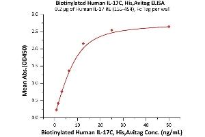 Immobilized Human IL-17 RE (155-454), Fc Tag (ABIN6938940,ABIN6950995) at 2 μg/mL (100 μL/well) can bind Biotinylated Human IL-17C, His,Avitag (ABIN6923157,ABIN6938899) with a linear range of 0. (IL17C Protein (AA 19-197) (His tag,AVI tag,Biotin))