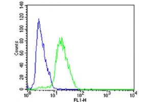 Flow cytometric analysis of SH-SY5Y cells using STMN2 Antibody (N-term)(green, Cat(ABIN6243305 and ABIN6577588)) compared to an isotype control of rabbit IgG(blue). (STMN2 抗体  (N-Term))