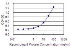 Detection limit for recombinant GST tagged LOXL4 is 0. (LOXL4 抗体  (AA 657-755))