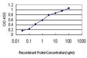 Detection limit for recombinant GST tagged APOA2 is approximately 0. (APOA2 抗体  (AA 1-100))