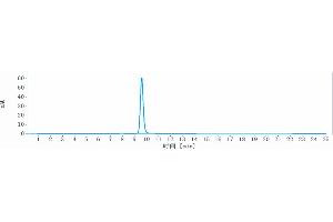 The purity of Anti- Human CLDN6( IMAB027)is 98. (Recombinant Claudin 6 抗体)
