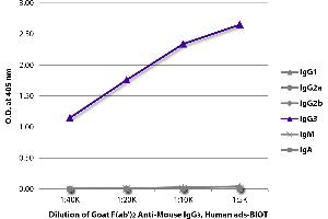 ELISA plate was coated with purified mouse IgG1, IgG2a, IgG2b, IgG3, IgM, and IgA. (山羊 anti-小鼠 IgG3 Antibody (Biotin) - Preadsorbed)