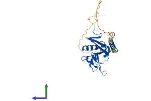 Protein Structure (PS) image for C-Type Lectin Domain Family 7, Member A (CLEC7A) (AA 1-247) protein (His tag) (ABIN7546500)