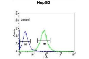 Flow Cytometry (FACS) image for anti-Alkaline Ceramidase 3 (ACER3) antibody (ABIN3003980) (ACER3 抗体)