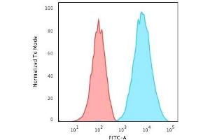 Flow Cytometric Analysis of Raji cells. (HLA-DRB1 抗体)