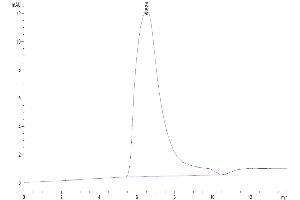 Size-exclusion chromatography-High Pressure Liquid Chromatography (SEC-HPLC) image for Killer Cell Lectin-Like Receptor Subfamily C, Member 1 (KLRC1) (AA 100-233) protein (His-Avi Tag,Biotin) (ABIN7275339)