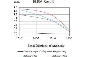 Black line: Control Antigen (100 ng),Purple line: Antigen (10 ng), Blue line: Antigen (50 ng), Red line:Antigen (100 ng) (CNN3 抗体  (AA 26-130))