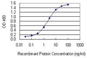 Detection limit for recombinant GST tagged FBXO2 is 0. (FBXO2 抗体  (AA 1-296))
