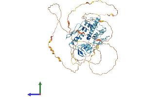 Protein Structure (PS) image for Zinc Finger Protein 358 (ZNF358) (AA 1-568) protein (His tag) (ABIN7545545)
