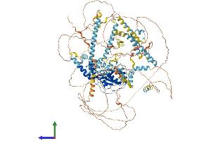 AlphaFold protein structure predicition of Mouse Recombinant Ercc5 Protein, UniprotID P35689