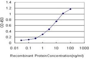 Detection limit for recombinant GST tagged PCDHGA5 is approximately 0. (PCDHGA5 抗体  (AA 205-304))