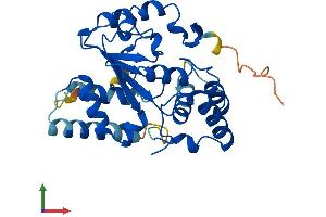 Protein Structure (PS) image for Sulfotransferase Family 4A, Member 1 (SULT4A1) (AA 1-284) protein (His tag) (ABIN7546366)