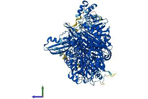 Protein Structure (PS) image for Phosphoribosylformylglycinamidine Synthase (PFAS) (AA 1-1337) protein (His tag) (ABIN7563839)