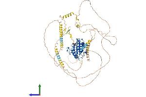 Protein Structure (PS) image for Peptidylprolyl Isomerase G (Cyclophilin G) (PPIG) (AA 1-754) protein (His tag) (ABIN7555076)