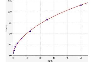 Meningioma Expressed Antigen 5 (Hyaluronidase) (MGEA5) ELISA Kit