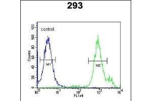 SLC9A9 Antibody (C-term) (ABIN651604 and ABIN2840319) flow cytometric analysis of 293 cells (right histogram) compared to a negative control cell (left histogram). (SLC9A9 抗体  (C-Term))