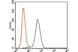 Flow Cytometry (FACS) image for anti-Kelch-Like ECH-Associated Protein 1 (KEAP1) (AA 380-624) antibody (ABIN1098141)