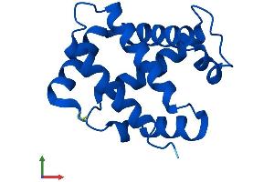 Protein Structure (PS) image for Hemoglobin theta 1 (HBQ1) (AA 1-142) protein (His tag) (ABIN7548247)