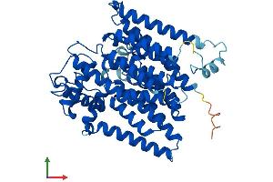 Protein Structure (PS) image for Asparagine-Linked Glycosylation 6, alpha-1,3-Glucosyltransferase Homolog (ALG6) (AA 1-507) protein (His tag) (ABIN7557045)