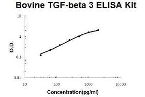 Bovine TGF-beta 3 PicoKine ELISA Kit standard curve (TGFB3 ELISA 试剂盒)