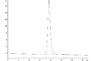 The purity of Human LILRA5 is greater than 95 % as determined by SEC-HPLC.