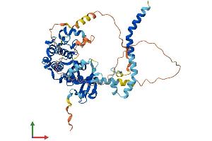 AlphaFold protein structure predicition of Human Recombinant STK3 Protein, UniprotID Q13188 (STK3 Protein (AA 1-491) (His tag))