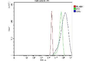Flow Cytometry analysis of A431 cells using anti-SMS antibody (ABIN7599638). (SMS 抗体  (AA 102-365))