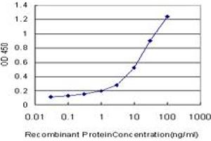 Detection limit for recombinant GST tagged KIF26A is approximately 0. (KIF26A 抗体  (AA 1-203))