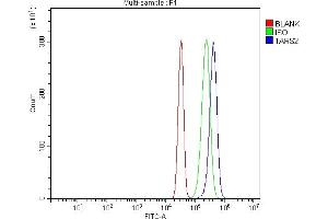 Flow Cytometry analysis of SiHa cells using anti-TARS2 antibody (ABIN7602308).