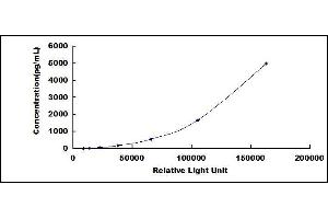 Typical standard curve