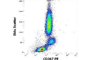 Flow cytometry surface staining pattern of human peripheral whole blood stained using anti-human CD367 (9E8) PE antibody (10 μL reagent / 100 μL of peripheral whole blood). (CLEC4A 抗体  (PE))