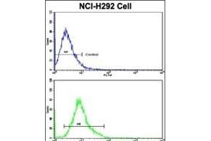 Flow cytometric analysis of NCI- cells using ELF4 Antibody (Center)(bottom histogram) compared to a negative control cell (top histogram). (Elf4 抗体  (AA 211-237))