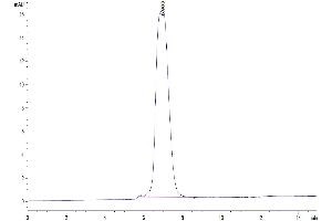 Size-exclusion chromatography-High Pressure Liquid Chromatography (SEC-HPLC) image for Fms-Related tyrosine Kinase 3 (FLT3) (AA 27-541) protein (Fc Tag) (ABIN7274657)