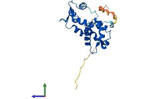 Protein Structure (PS) image for Myosin, Light Chain 6B, Alkali, Smooth Muscle and Non-Muscle (MYL6B) (AA 1-208) protein (His tag) (ABIN7549619)