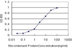 Detection limit for recombinant GST tagged BOLL is approximately 0. (BOLL 抗体  (AA 185-283))