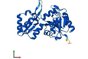 Protein Structure (PS) image for Haloacid Dehalogenase-Like Hydrolase Domain Containing 2 (HDHD2) (AA 1-259) protein (His tag) (ABIN7548280)