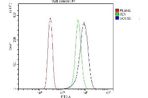Flow Cytometry analysis of SiHa cells using anti-SOCS3 antibody (ABIN7599926).