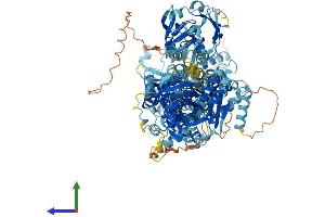 Protein Structure (PS) image for ATPase, Class I, Type 8B, Member 4 (ATP8B4) (AA 1-1192) protein (His tag) (ABIN7552532)