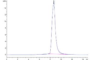 CPM Protein (AA 18-423) (His tag)