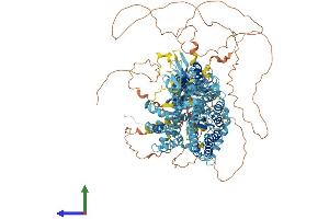 Protein Structure (PS) image for Solute Carrier Family 4, Sodium Bicarbonate Cotransporter, Member 7 (SLC4A7) (AA 1-1214) protein (His tag) (ABIN7555408)