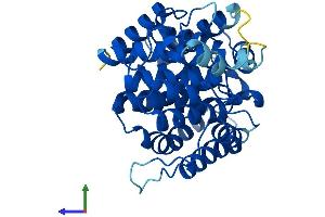 AlphaFold protein structure predicition of Mouse Recombinant Adprhl1 Protein, UniprotID Q8BGK2