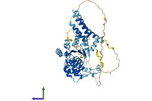 Protein Structure (PS) image for Katanin P60 Subunit A-Like 1 (KATNAL1) (AA 1-490) protein (His tag) (ABIN7548772)