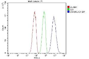 Flow Cytometry analysis of SiHa cells using anti-SMARCAD1 antibody (ABIN6719539).