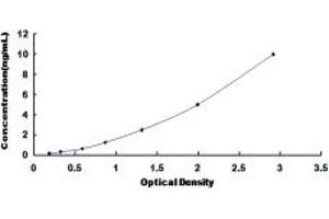 Typical standard curve (CD19 ELISA 试剂盒)