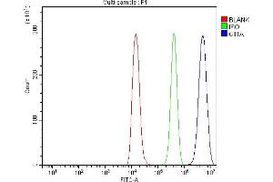 anti-Class II, Major Histocompatibility Complex, Transactivator (CIITA) (AA 34-1038) antibody